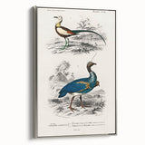 Historical Romanticism Canvas: Exotic Birds - Romantic Art Prints