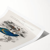 Historical Romanticism Canvas: Exotic Birds - Romantic Art Prints