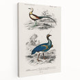 Historical Romanticism Canvas: Exotic Birds - Romantic Art Prints