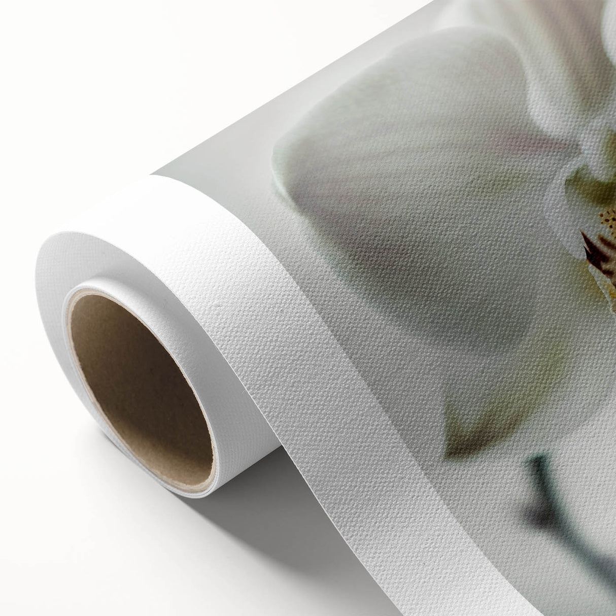 Contemporary Dining Art Pieces - White Orchid Floral Print