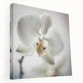 Contemporary Dining Art Pieces - White Orchid Floral Print