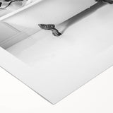 Bathroom Wall Art - Playful Penguins in Bathtub