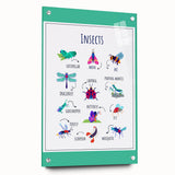 Insects Kids Educational Wall Art – Learning Poster