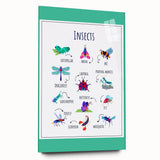 Insects Kids Educational Wall Art – Learning Poster