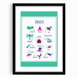 Insects Kids Educational Wall Art – Learning Poster