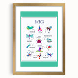 Insects Kids Educational Wall Art – Learning Poster