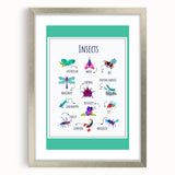 Insects Kids Educational Wall Art – Learning Poster