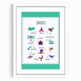 Insects Kids Educational Wall Art – Learning Poster