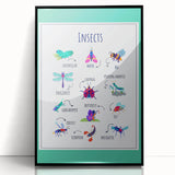 Insects Kids Educational Wall Art – Learning Poster