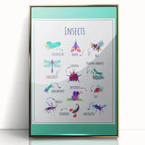 Insects Kids Educational Wall Art – Learning Poster