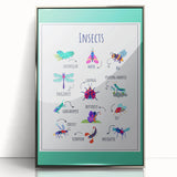 Insects Kids Educational Wall Art – Learning Poster