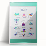 Insects Kids Educational Wall Art – Learning Poster