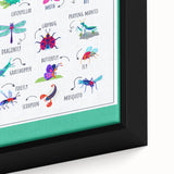 Insects Kids Educational Wall Art – Learning Poster