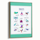 Insects Kids Educational Wall Art – Learning Poster
