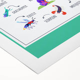 Insects Kids Educational Wall Art – Learning Poster
