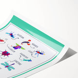 Insects Kids Educational Wall Art – Learning Poster