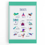 Insects Kids Educational Wall Art – Learning Poster
