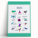 Insects Kids Educational Wall Art – Learning Poster