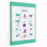 Insects Kids Educational Wall Art – Learning Poster