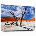 Acrylic glass print of a Namibian landscape featuring neutral earth tones, ideal for dining room art.
