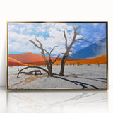 Mid-century modernist art depicting the Namibian landscape on a framed acrylic print, featuring earthy tones.