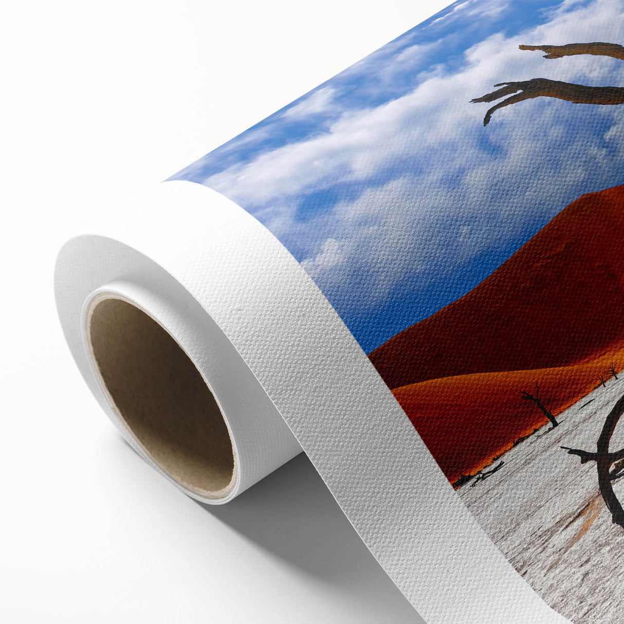 Art deco poster depicting a serene Namibian landscape on rolled canvas, ideal for nursery wall art or dining room decor.
