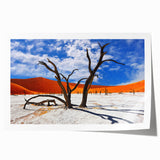 Extra large wall art featuring line art flowers in neutral tones on a rolled print, suitable for large living room decor.