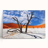 Black and white photo of an African landscape on a large stretched canvas, ideal for kitchen wall art or bedroom decor.