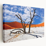 Landscape of Namibian desert on large stretched canvas, featuring earthy tones, ideal for kitchen wall art.