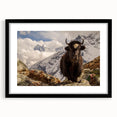 Extra large colorful art featuring an abstract print of a Nepal scenery in a black frame, ideal for living room decor.