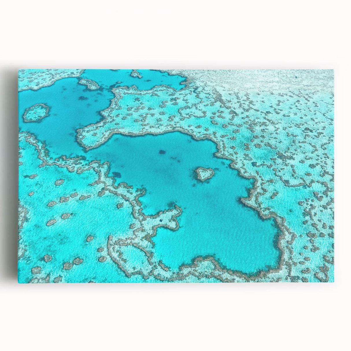 Black and white photograph of Queensland scenery on large stretched canvas, suitable for kitchen wall art or bedroom decor.