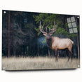 Acrylic print of a serene Alberta, Canada landscape in muted earth tones, ideal for dining room decor.