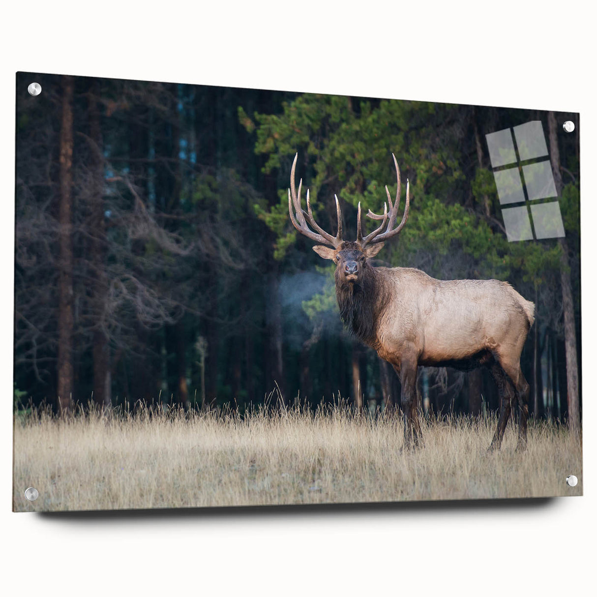 Acrylic print of a serene Alberta, Canada landscape in muted earth tones, ideal for dining room decor.