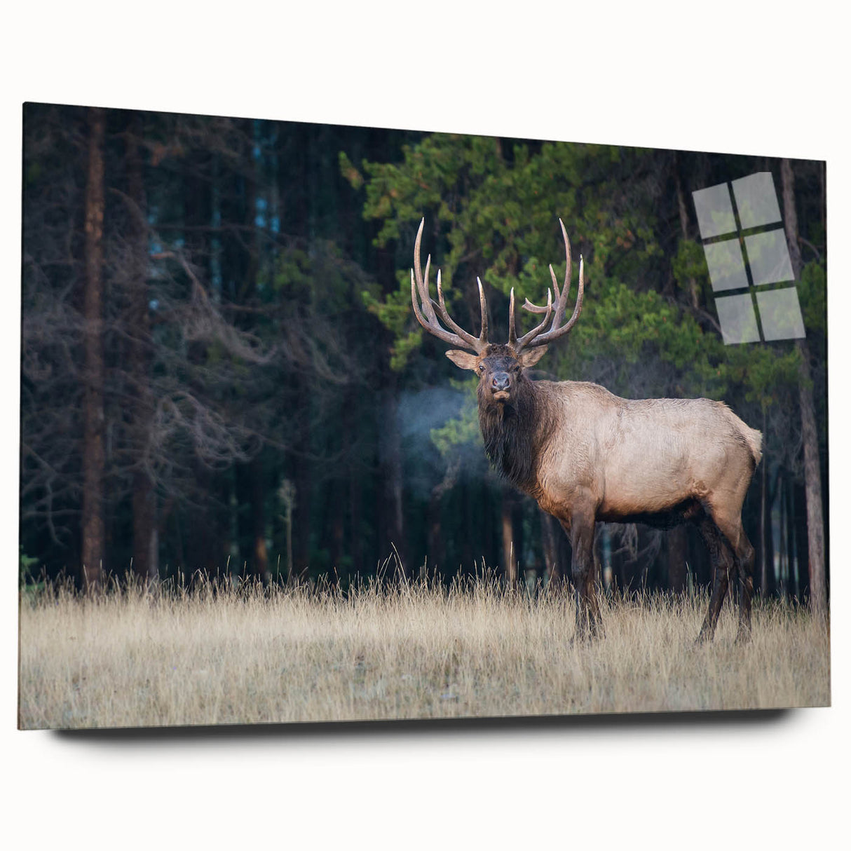 Large abstract wall art depicting a serene Alberta scenery in muted blues and greens on acrylic glass.
