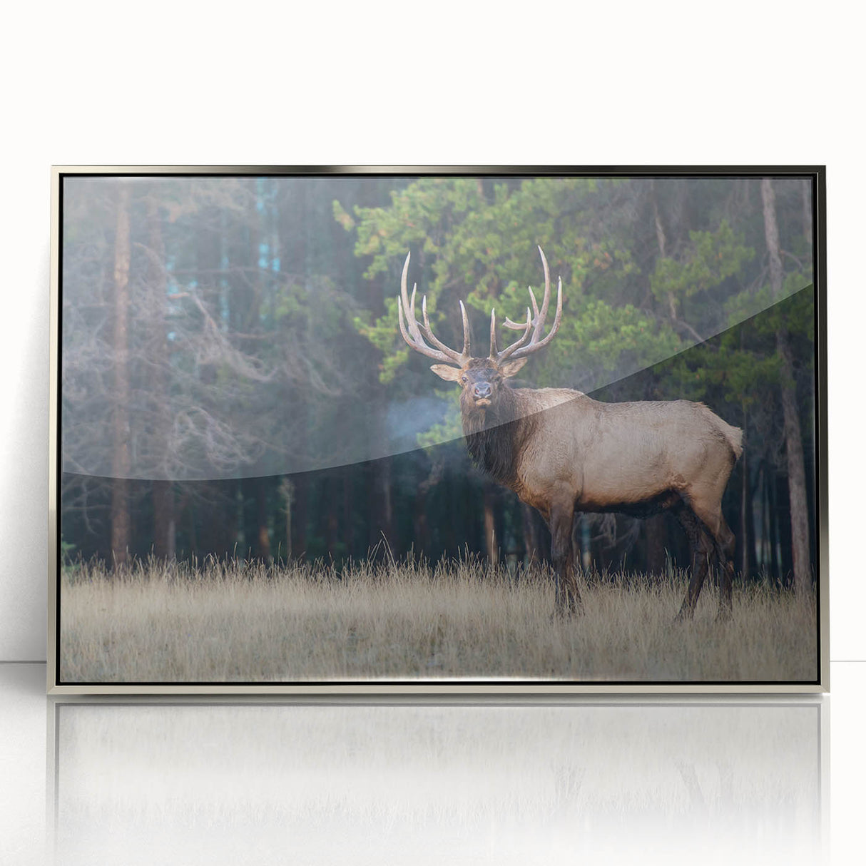 Mid-century modernist style acrylic print of Alberta, Canada scenery in silver frame, ideal for nursery wall art.