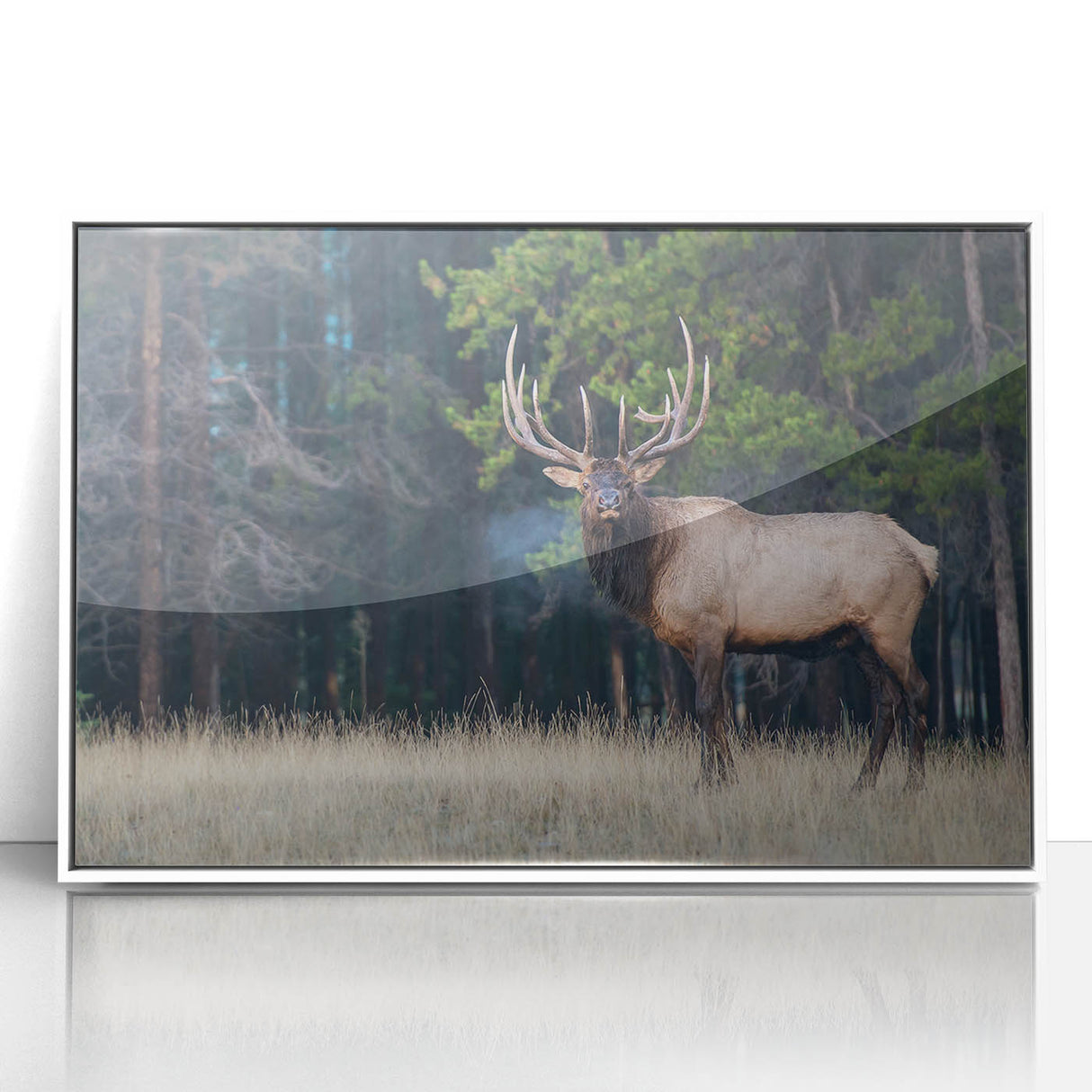 Acrylic print of Alberta, Canada scenery in art deco style, framed in white, ideal for modern nursery wall art.