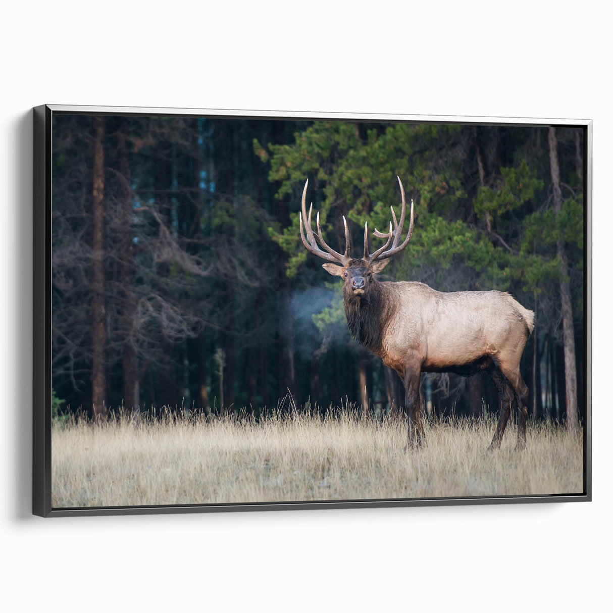 Framed canvas of a black and white vintage poster featuring Alberta landscape, ideal for bedroom wall art.