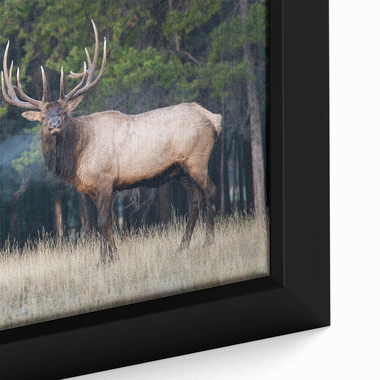 Framed canvas featuring a textured depiction of Alberta’s landscape in black with vibrant, colorful accents.