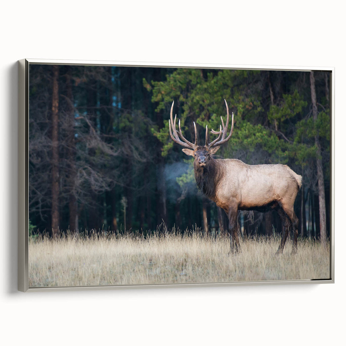Framed canvas depicting a vintage-style landscape art painting of Alberta, Canada, with vibrant greens and blues.