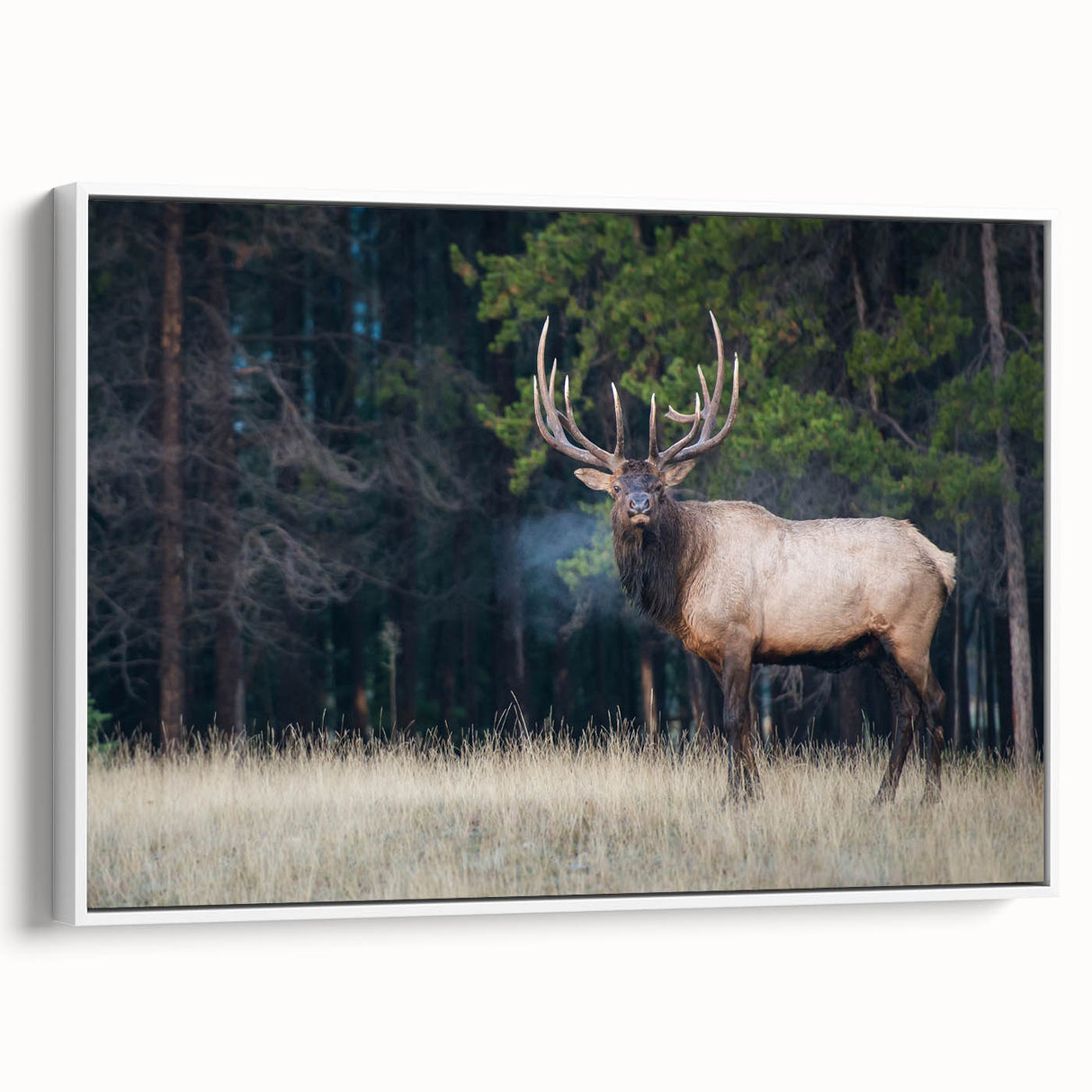 Vintage poster art of Alberta, Canada scenery on a framed canvas, featuring vibrant colorful art with black accents.