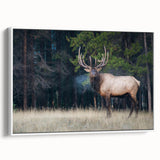 Vintage poster art of Alberta, Canada scenery on a framed canvas, featuring vibrant colorful art with black accents.