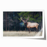 Extra large rolled print of Alberta, Canada scenery with vibrant green and blue hues, ideal for art wall dining room.