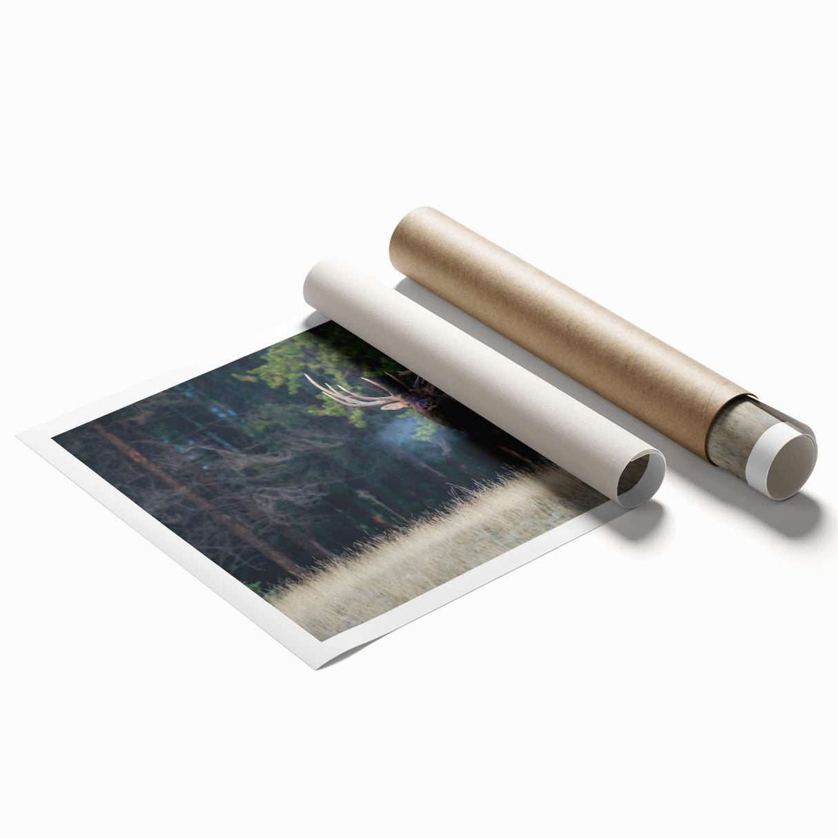 A serene landscape of Alberta, Canada, with lush greenery and a distant mountain range, printed on rolled canvas.