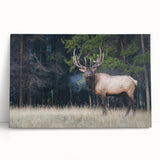 Black and white panoramic photograph of Alberta's landscape on stretched canvas, suitable as kitchen wall art.
