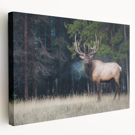 Large wall art on stretched canvas depicting a serene Alberta, Canada scenery in muted earth tones.