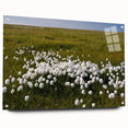 Acrylic print of a serene Northwest Territories landscape, ideal for bedroom or dining room decor.