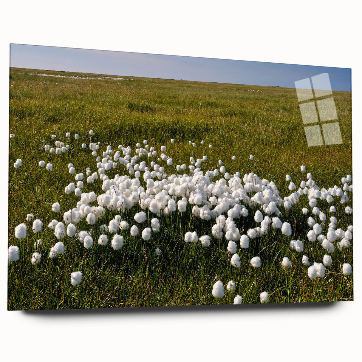 Large abstract wall art of Northwest Territories scenery in muted blue and green tones on acrylic glass.