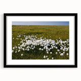 Extra large framed wall art featuring an abstract portrayal of the Northwest Territories in vibrant, textured colors.