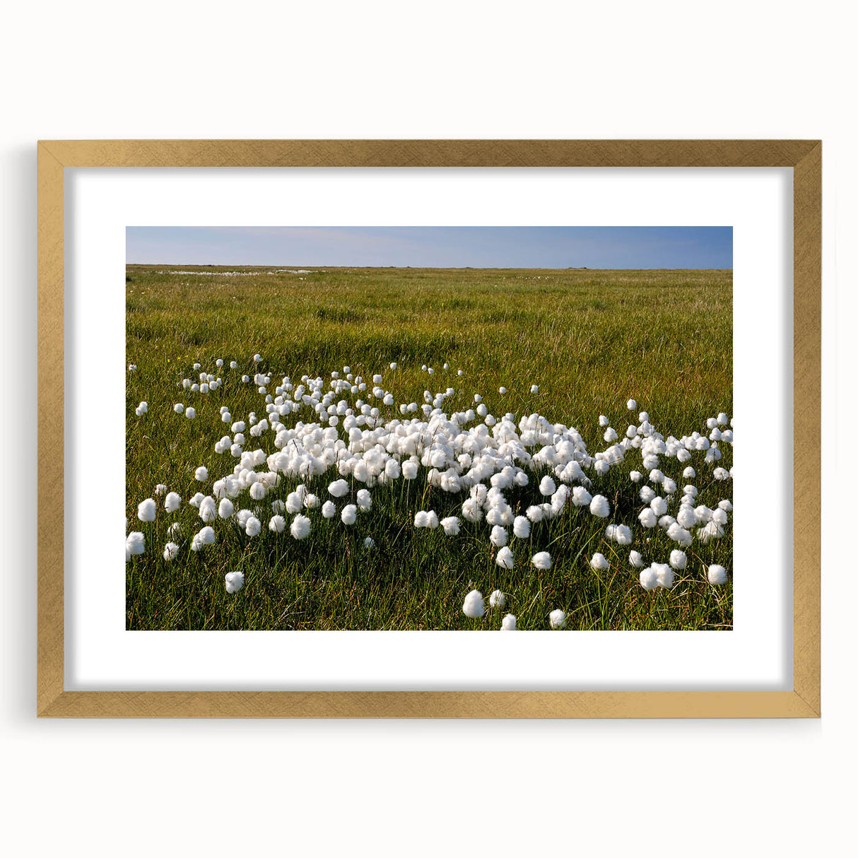 Extra large abstract art print of Canadian Northwest Territories in textured style with gold frame.