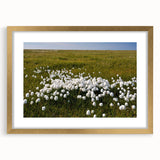 Extra large abstract art print of Canadian Northwest Territories in textured style with gold frame.